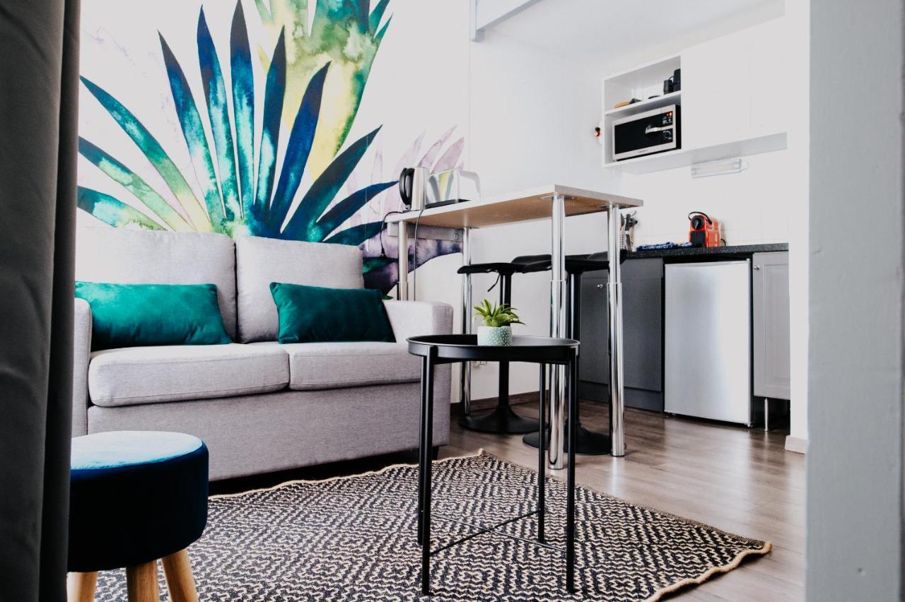 トゥールーズLe Duplex Carmesアパートメント エクステリア 写真
